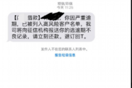 西藏专业讨债公司，追讨消失的老赖